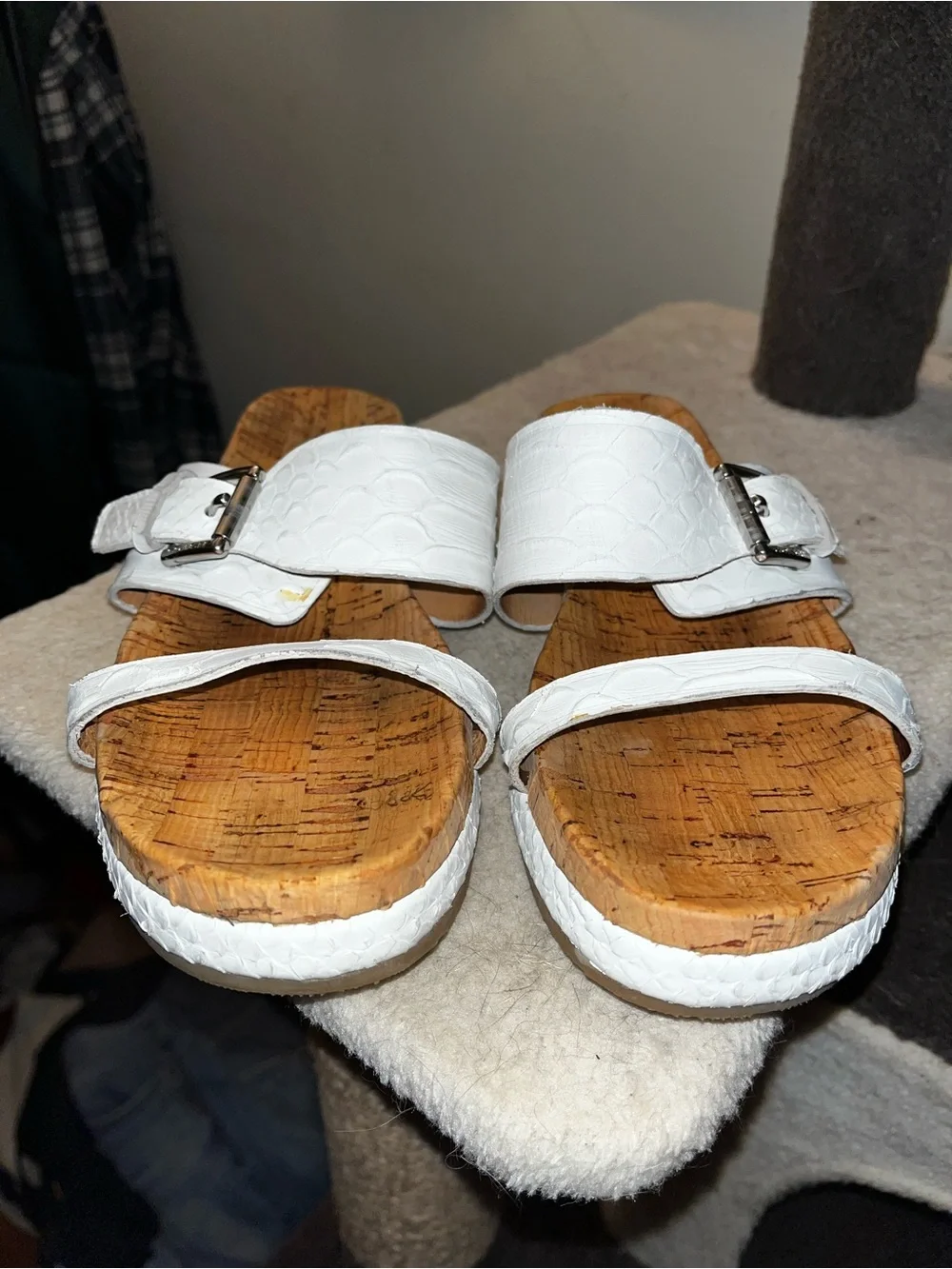 Coach buckle warm natural